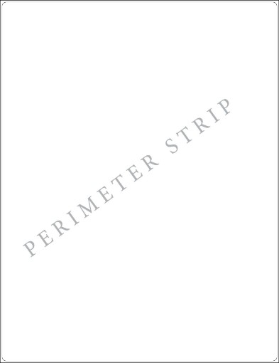 Picture of 8.5" x 11" Rectangle Label with perimeter strip