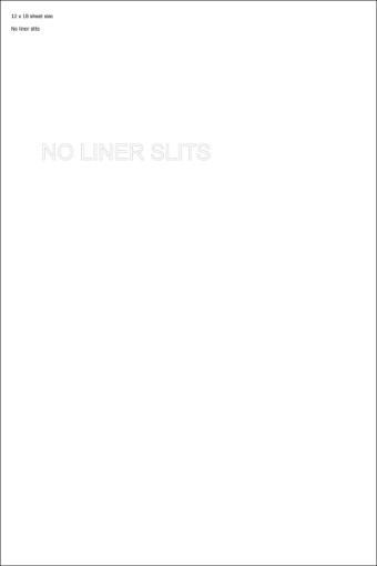 Picture of 12" x 18" Rectangle Laser Label - zero split liner
